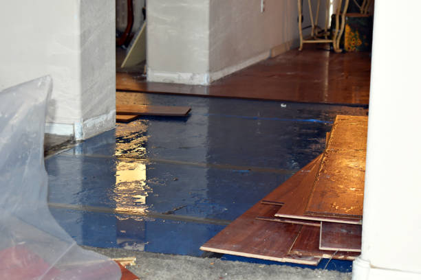 Professional Sewage Cleanup technician working in Tripp, SD